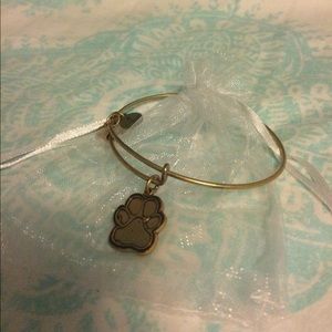 Alex and Ani dangle bracelet :)