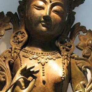 Meet your Posher, Caryn