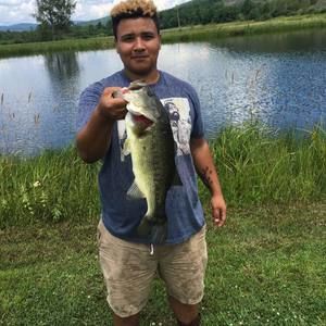 Meet your Posher, Earl