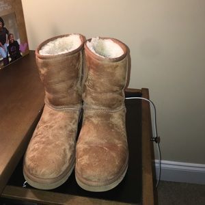Women's Classic Short chestnut UGGS (AUTHENTIC)