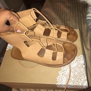 Altard state brown gladiator sandals