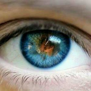 Meet your Posher, Rory