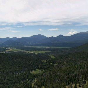 Meet your Posher, Adrienne