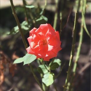 Meet your Posher, Jenna