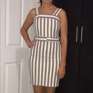 Miss Selfridge day dress