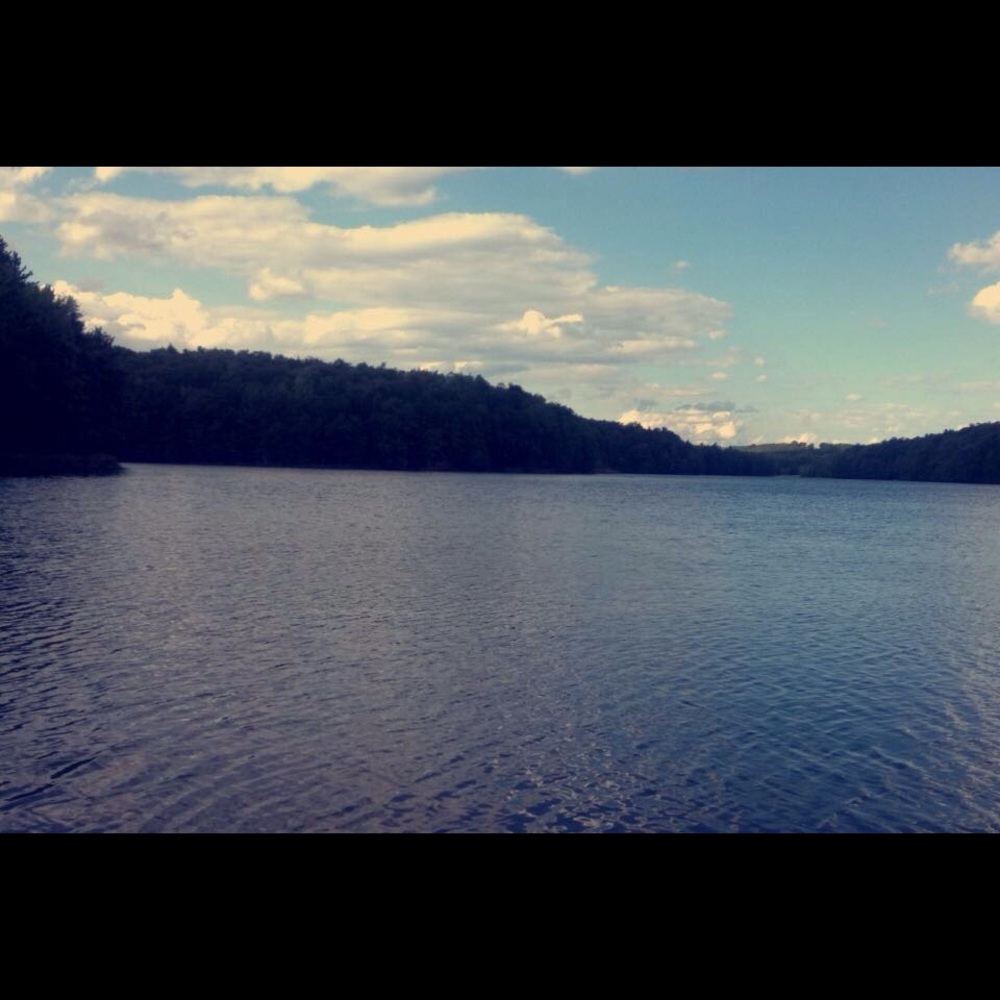 Meet your Posher, Ally