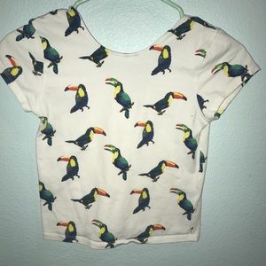 Toucan top
