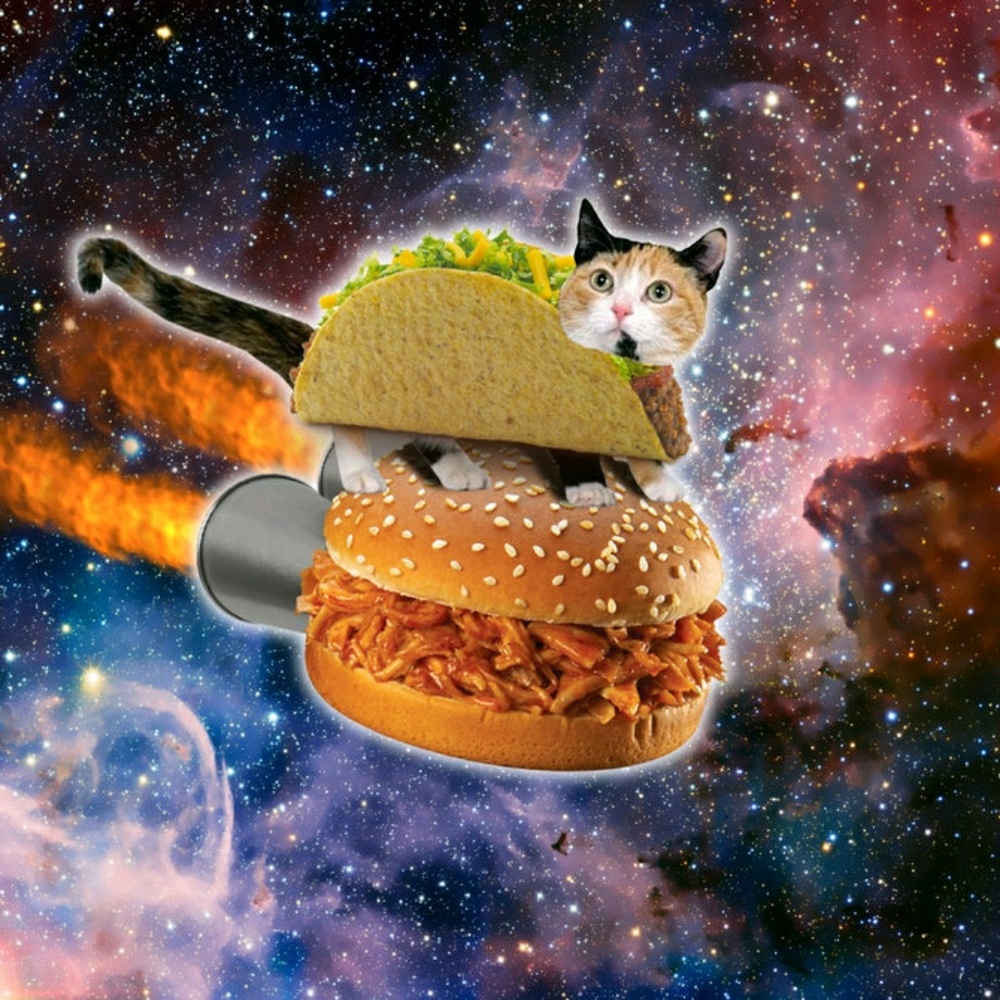 Meet your Posher, Katy