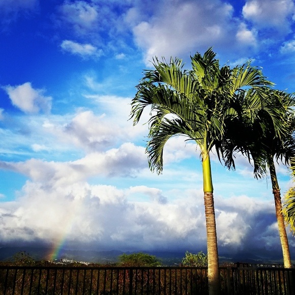 Meet your Posher, Paris - Picture 2 of 3