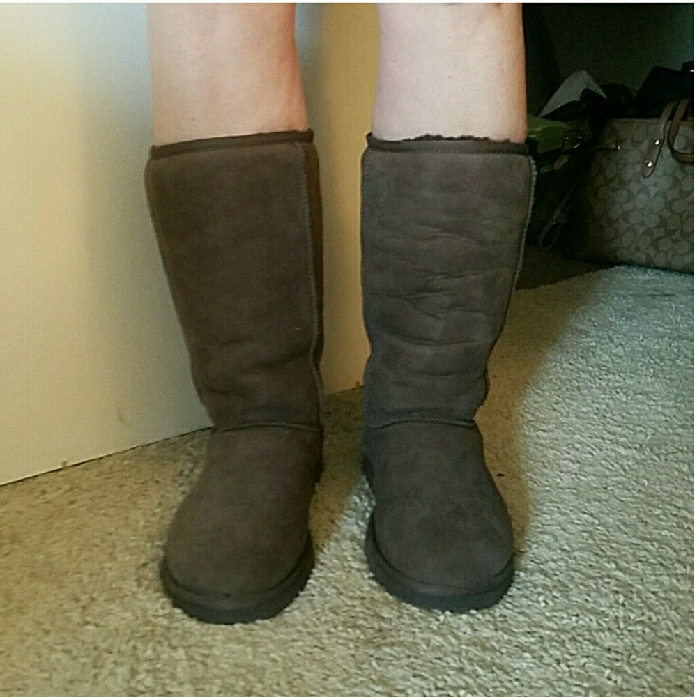 Tall Chocolate Uggs