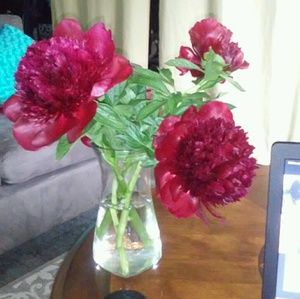 Meet your Posher, Linda