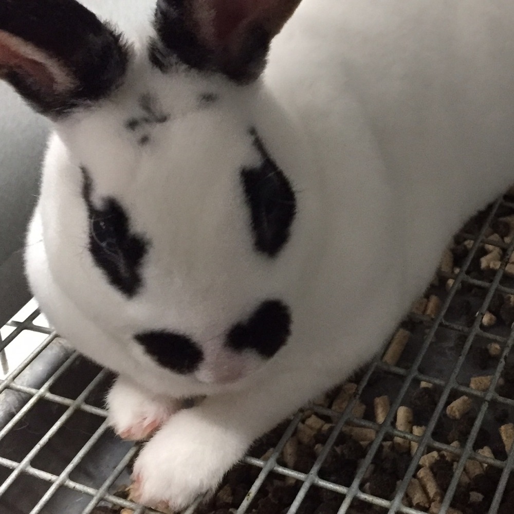 Meet your Posher, Alanna