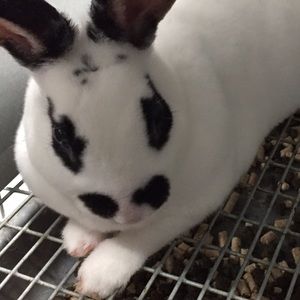 Meet your Posher, Alanna