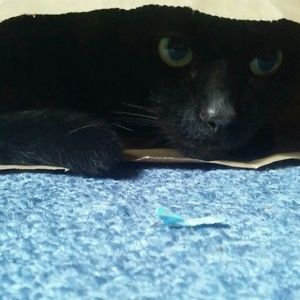 Meet your Posher, Samantha