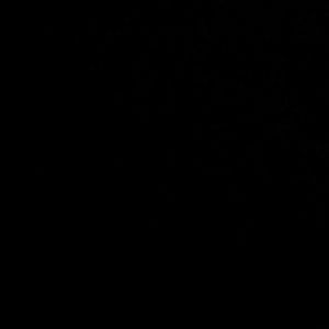 Meet your Posher, Lorance