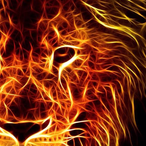 Meet your Posher, Kody - Picture 1 of 1