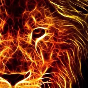 Meet your Posher, Kody