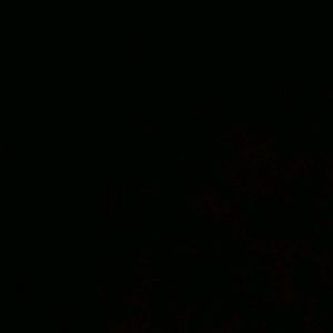 Meet your Posher, Ava