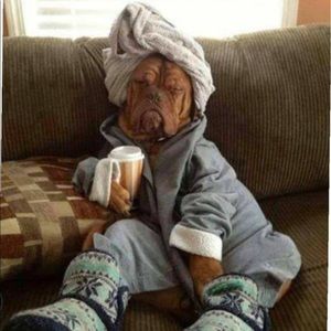 Meet your Posher, Martha