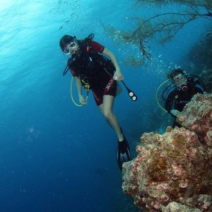 Meet your Posher, Leeza