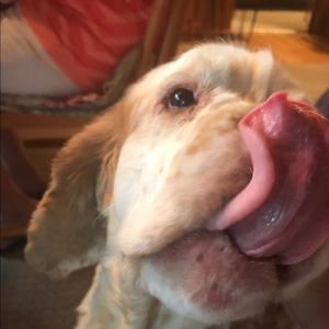 Meet your Posher, Jenna