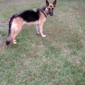 Meet your Posher, Elaine