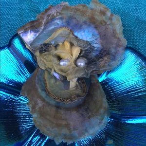 1 x Real Pearl Oyster - last ones!