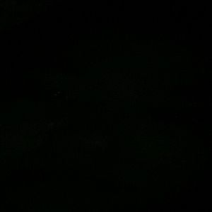 Meet your Posher, Yolanda