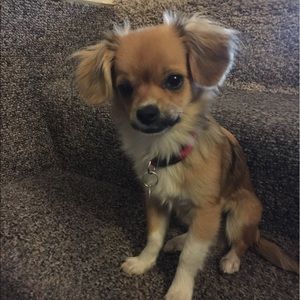 Meet your Posher, Lori