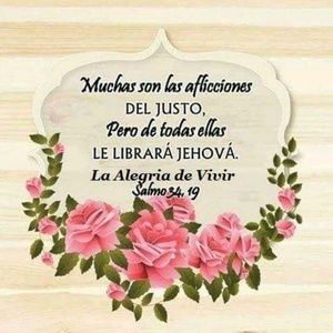 Meet your Posher, Liz