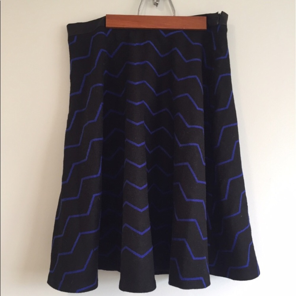 NWOT Circle Skirt Thick Material Perfect for Fall!