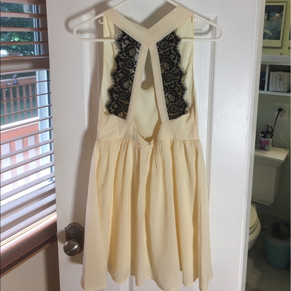 Tobi Cream Deep V Lace Back Skater Dress - Picture 4 of 6
