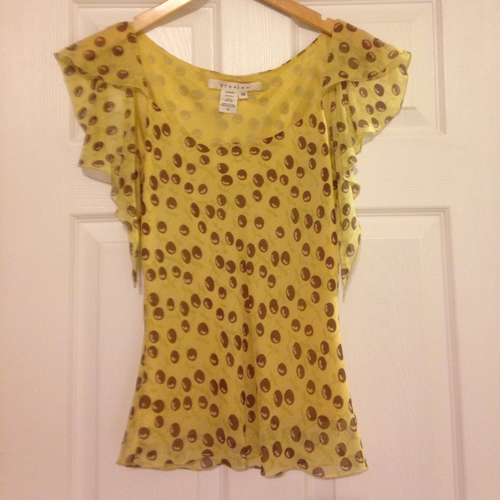 Max Studio 100% Silk Top