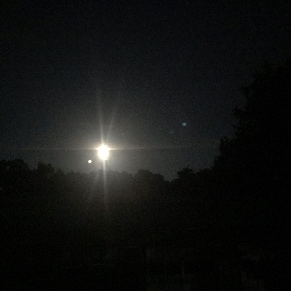 Meet your Posher, Chet