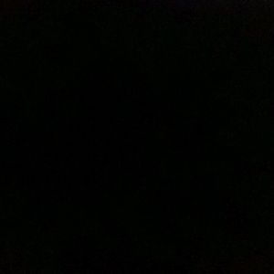 Meet your Posher, Bryant