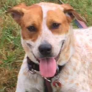 Meet your Posher, Cami