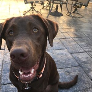 Meet your Posher, Taylor