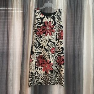 Beautiful Modern young professional business dress