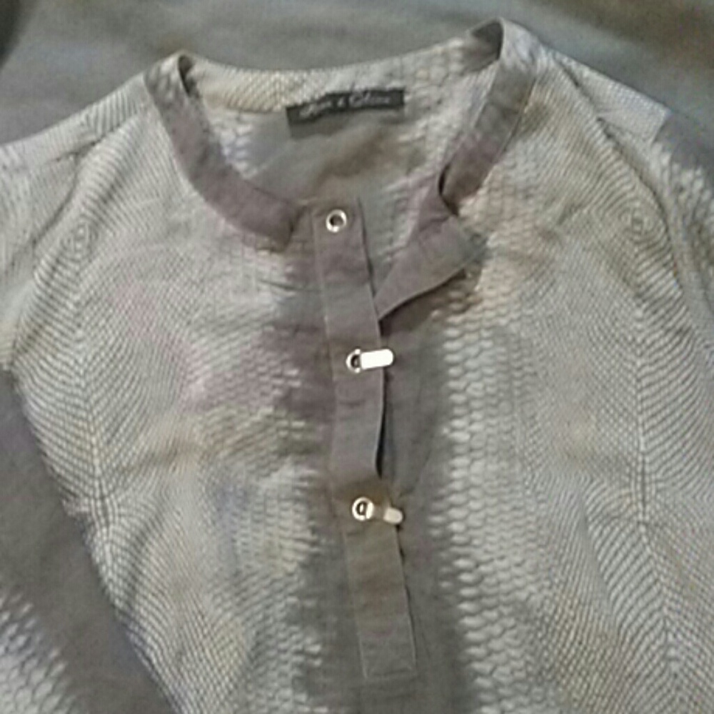 Beautiful Sheer Blouse