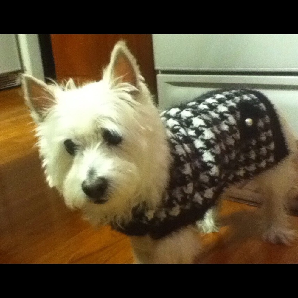"Angel" needs your help!