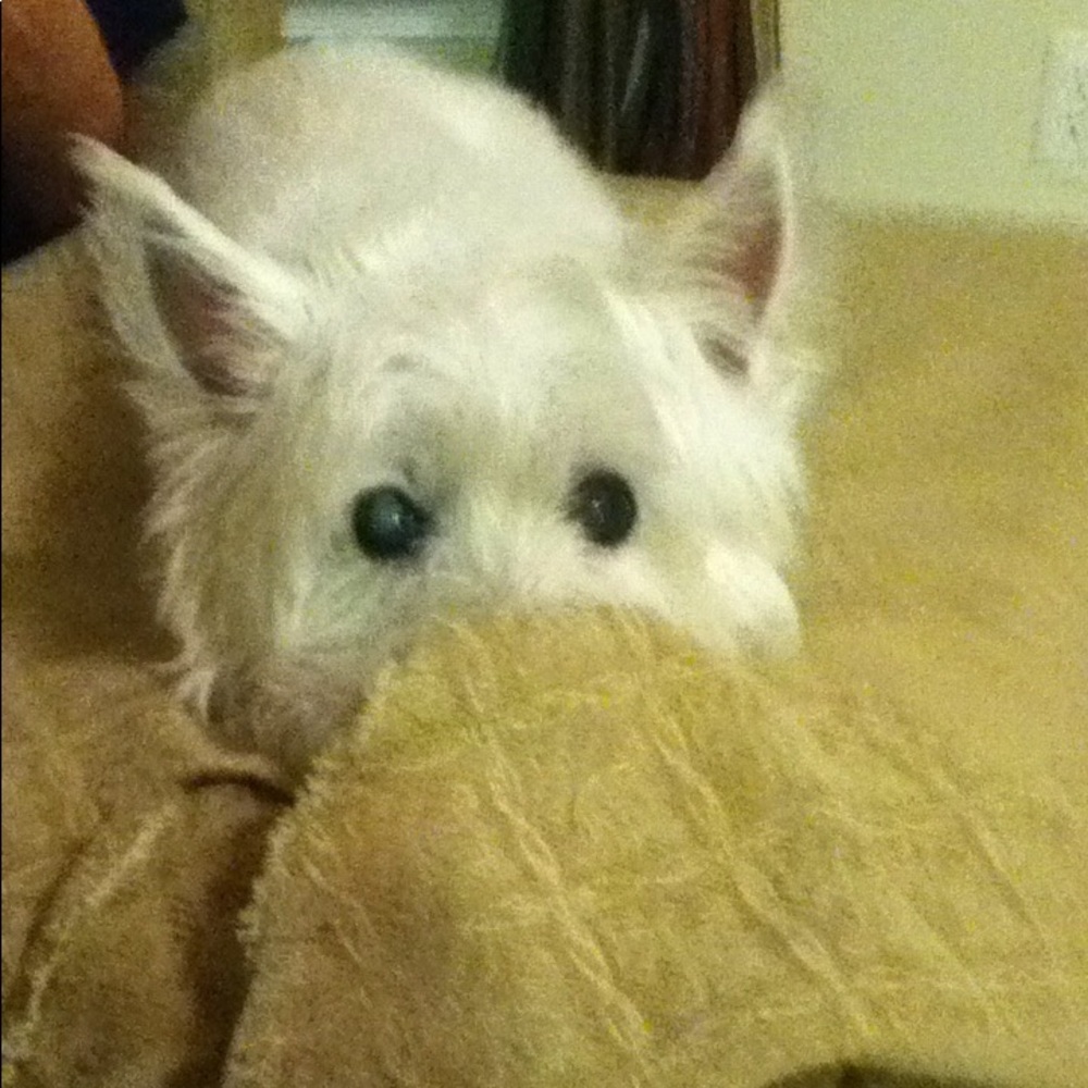 "Angel" needs your help! - Picture 8 of 8