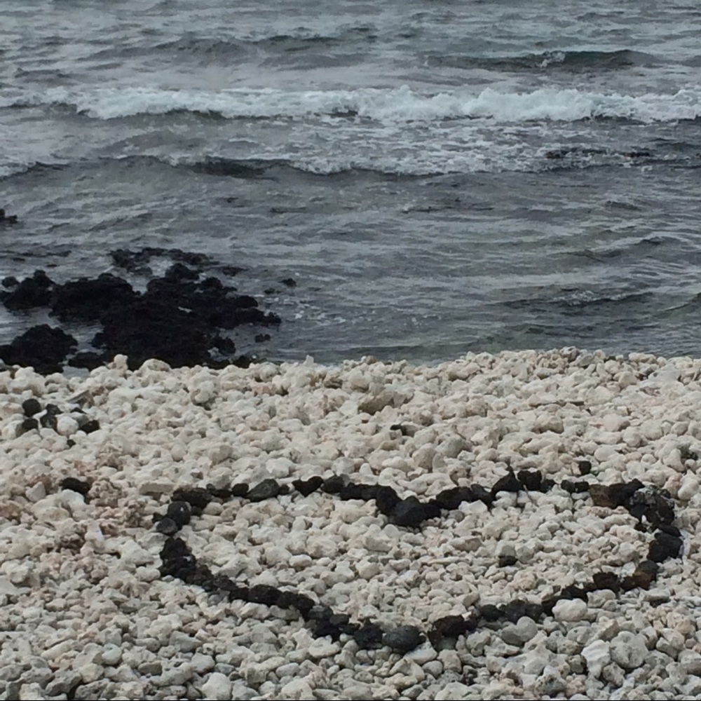 Meet your Posher, Denae