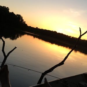 Meet your Posher, Ella