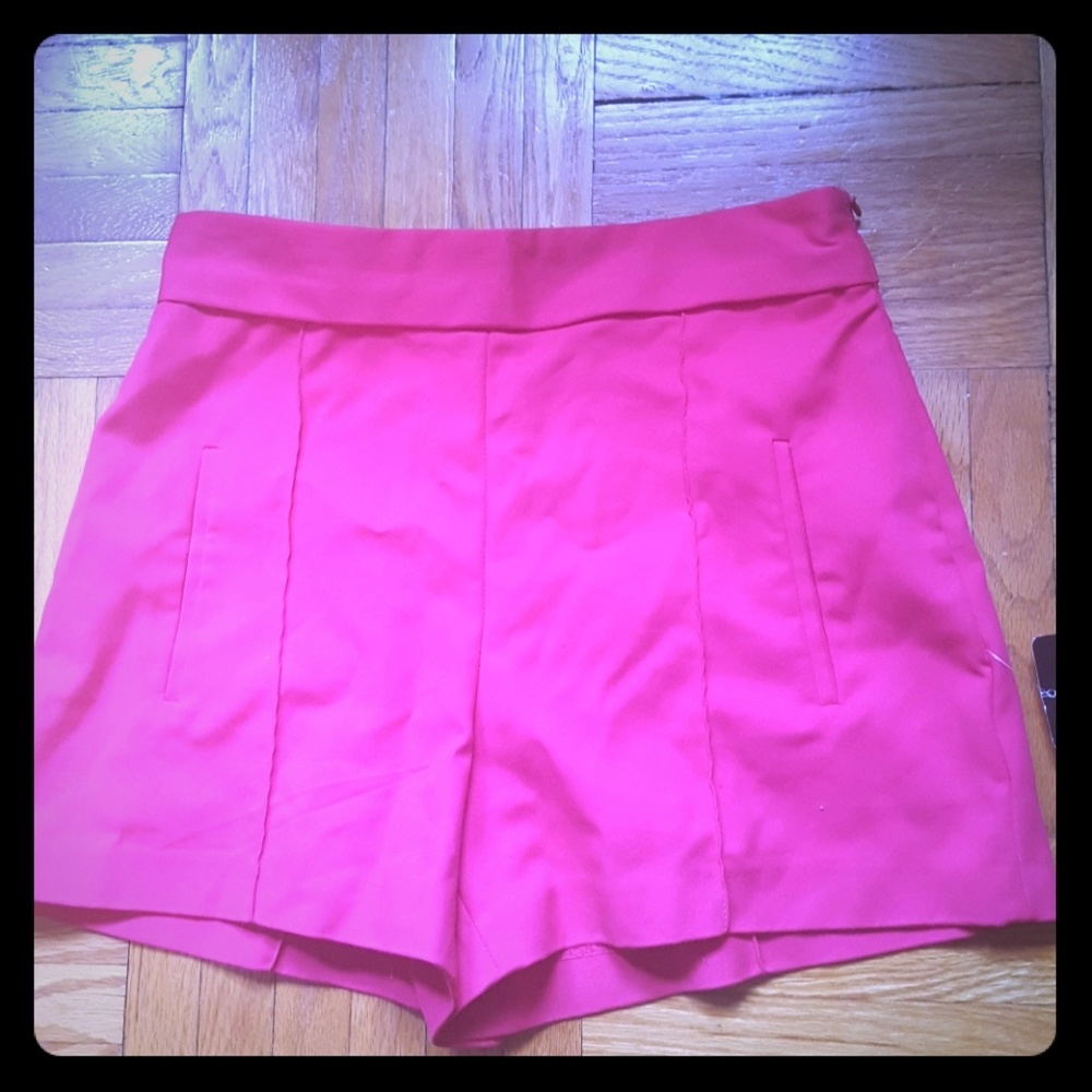Zara Dressy Fuchsia shorts