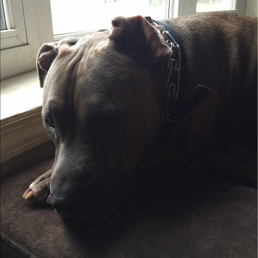 Meet your Posher, Salina