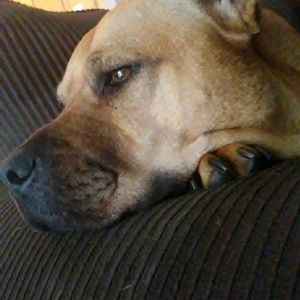 Meet your Posher, Elena