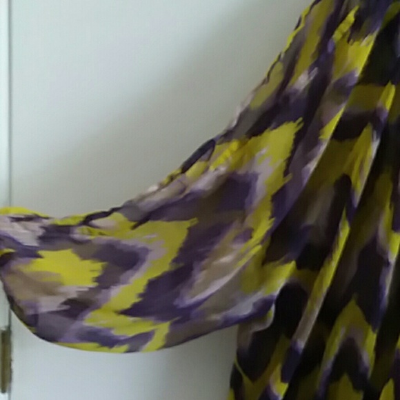 Sheer V-Neck long sleeve Blouse - Picture 3 of 4