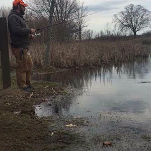 Meet your Posher, Phillip