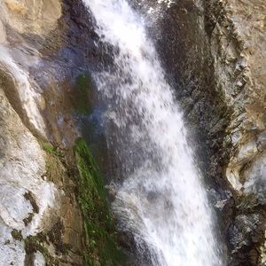 Meet your Posher, Karlin