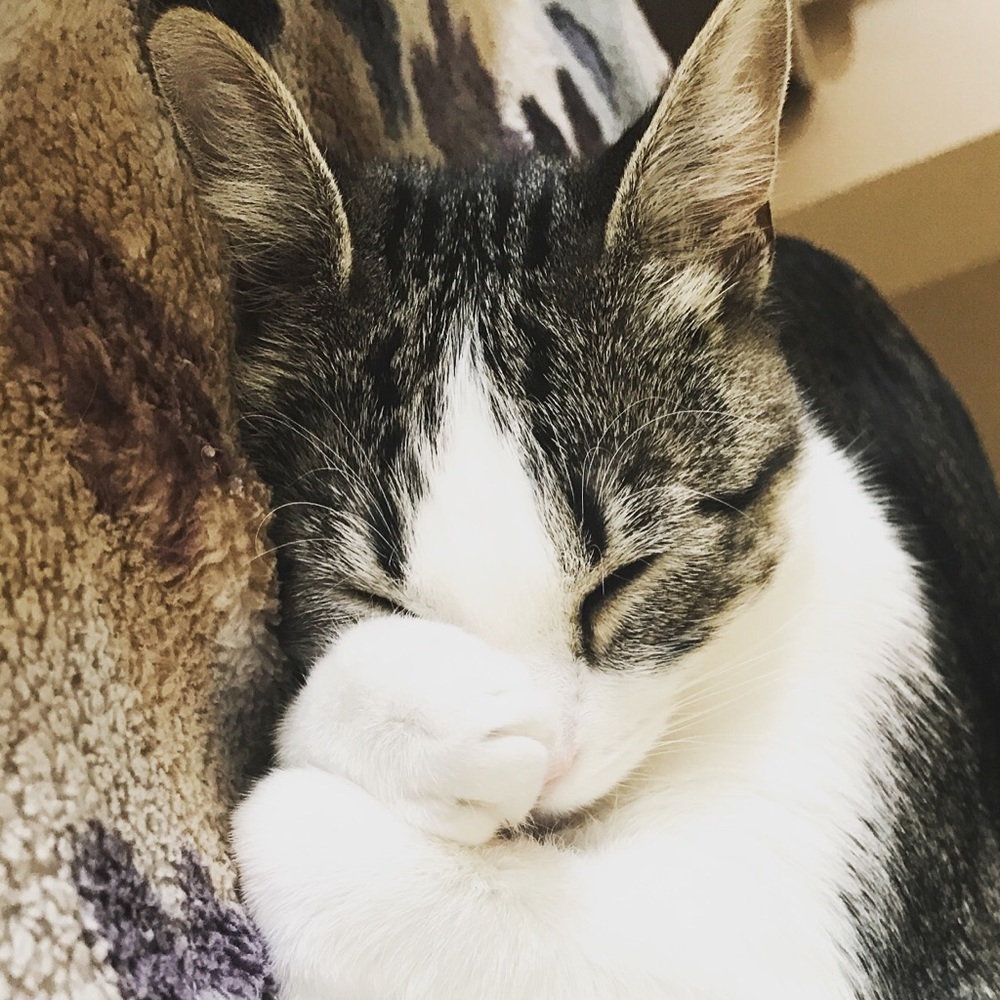 Meet your Posher, Joanna